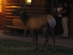 IMG_0577