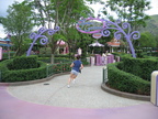 IMG 4493