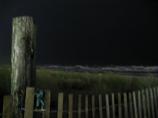 IMG 1953