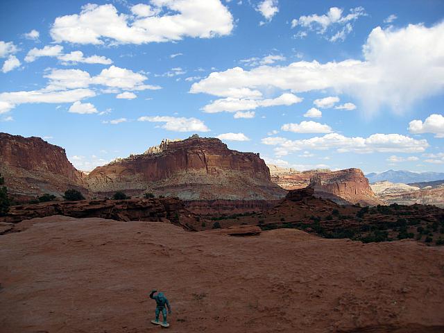 IMG 4375