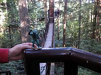 IMG 3857