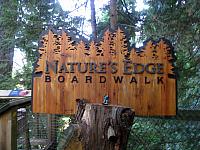 IMG 3896