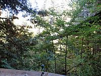 IMG 3903