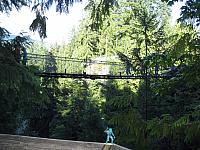 IMG 3905