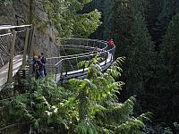 IMG 3922