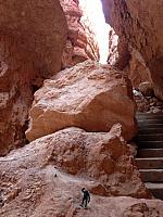 IMG 6773
