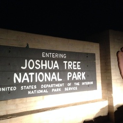 Joshua Tree 2014