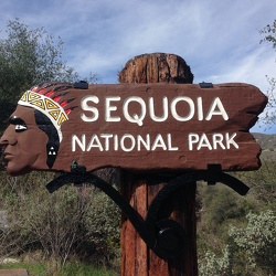 Sequoia National Park 2014